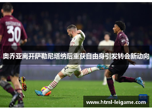 奥乔亚离开萨勒尼塔纳后重获自由身引发转会新动向 奥乔亚离开萨勒尼塔纳后重获自由身引发转会新动向